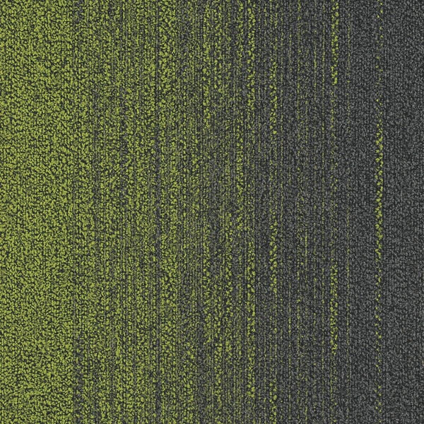 1187 P.Green / S.Grey