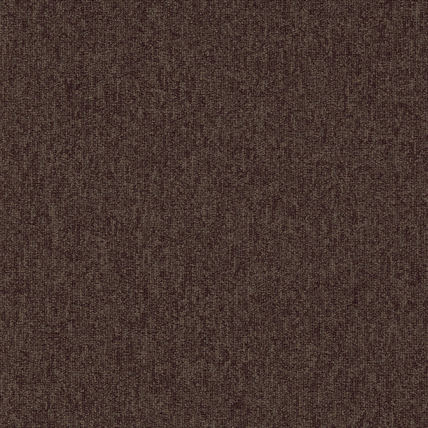 823-Nutmeg *Discontinued-Limited Stock