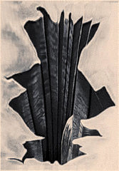 Trendz (M, 160x210cm)