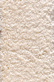 Close-up of beige carpet texture