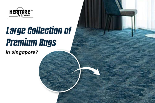 Large Collection of Premium Rugs in Singapore