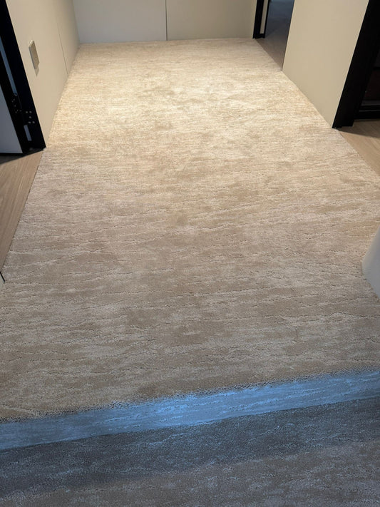 Residential @ Cavenagh Condo, Singapore