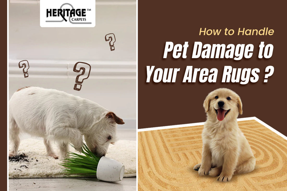 How to Handle Pet Damage to Your Area Rugs 