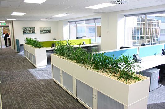 Productivity Commission Office, New Zealand