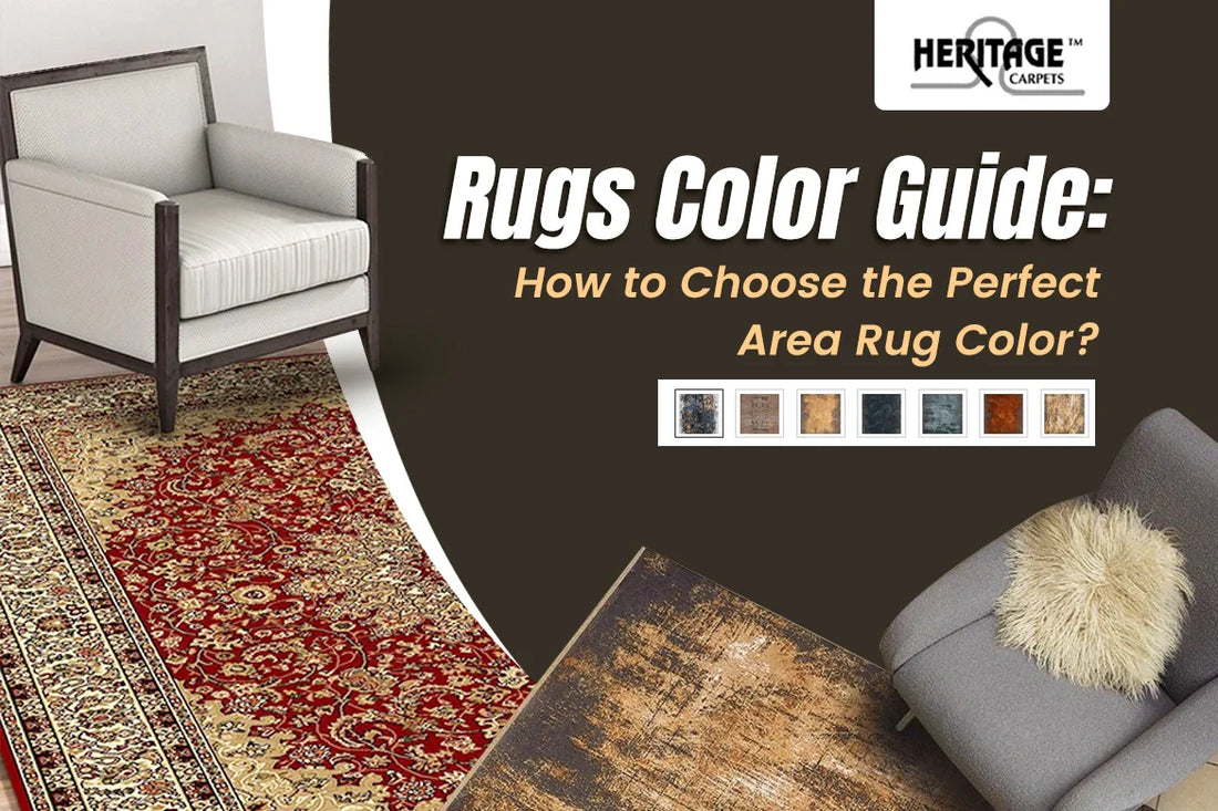 Rugs Color Guide: How to Choose the Perfect Area Rug Color?