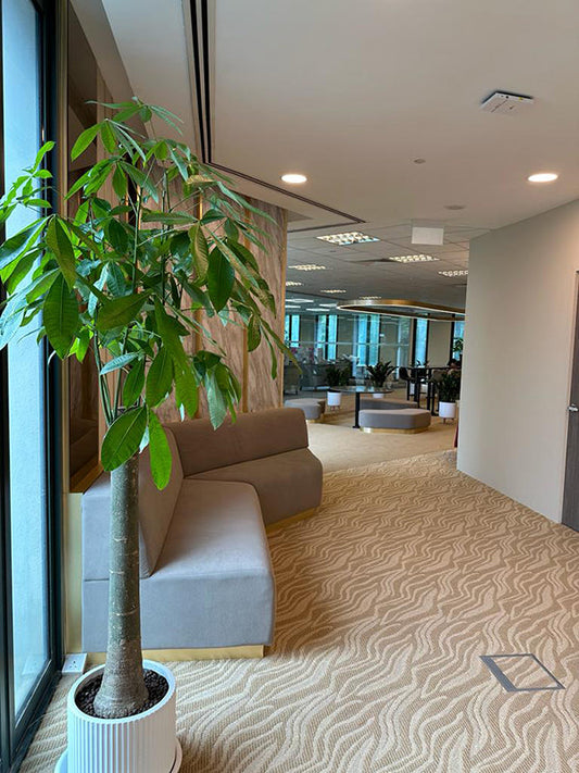 Office, Singapore
