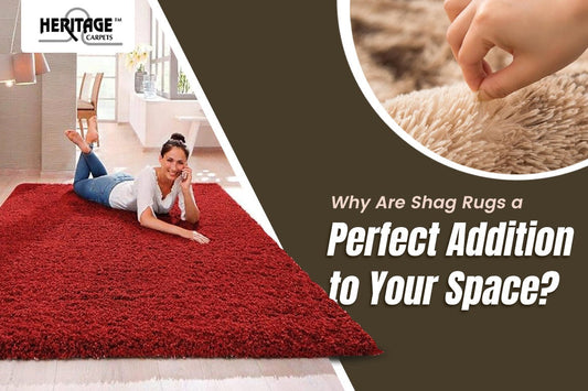 Why Are Shag Rugs a Perfect Addition to Your Space