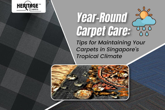 Year-Round Carpet Care Tips for Maintaining Your Carpets in Singapore's Tropical Climate