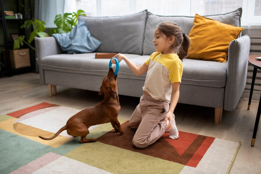 8 Soft Area Rugs that are compatible with Pets & Kids 