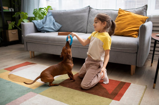 8 Soft Area Rugs that are compatible with Pets & Kids 
