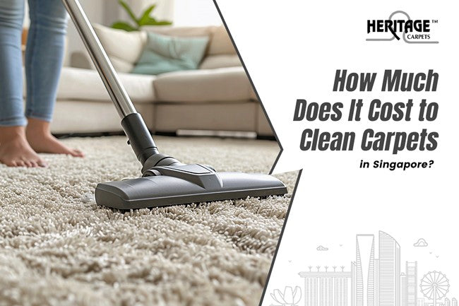 How Much Does It Cost to Clean Carpets in Singapore?