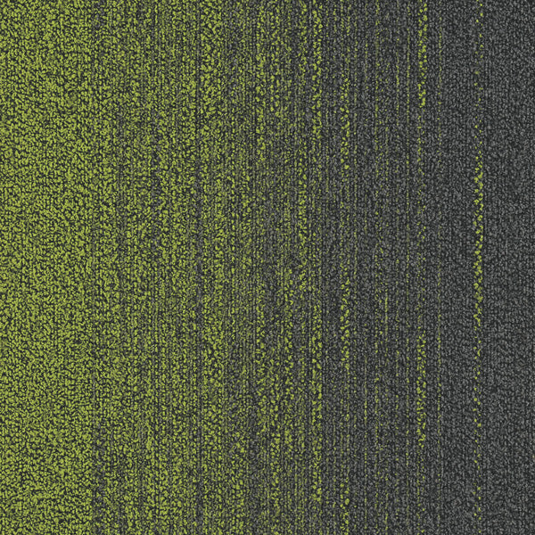 1187 P.Green / S.Grey