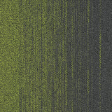 1187 P.Green / S.Grey