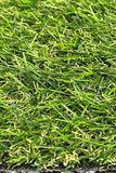 Patio Grass